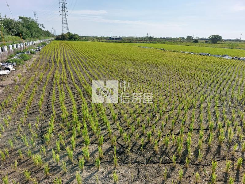 柳營近乳牛的家雙面路農地房屋室內格局與周邊環境