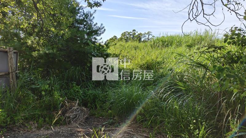 【安家】專任-造橋8米路旁大面寬美農地房屋室內格局與周邊環境