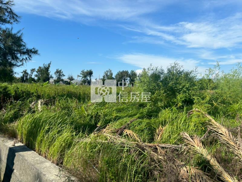 林厝寮段農地房屋室內格局與周邊環境