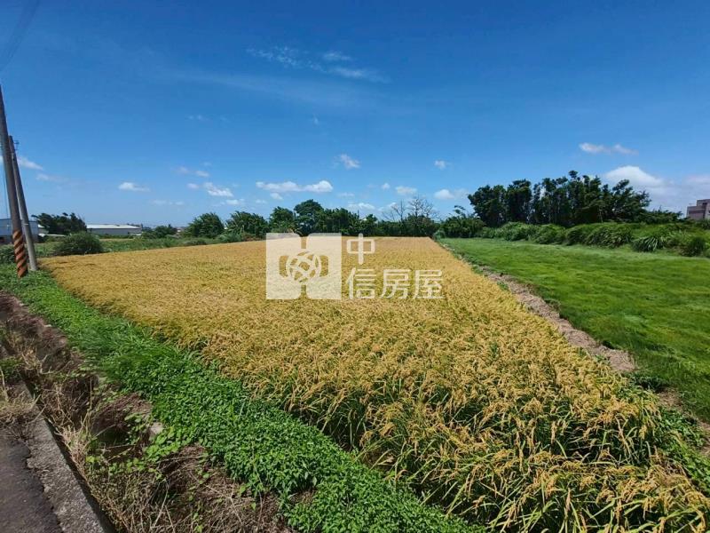 山東國小方正美農地房屋室內格局與周邊環境