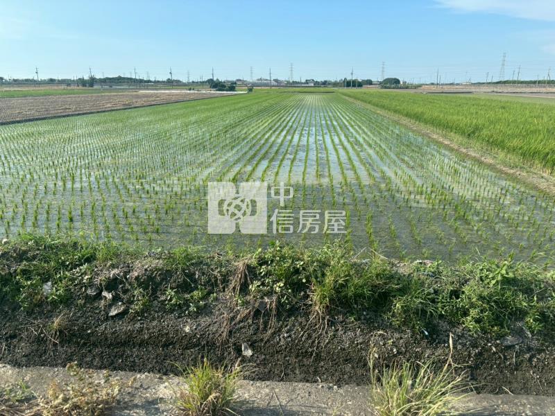 元長新吉農地房屋室內格局與周邊環境