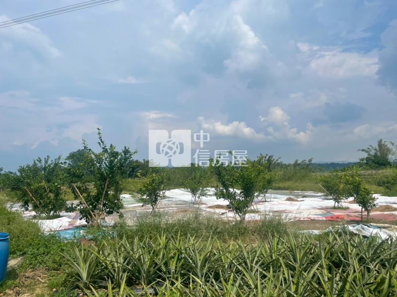 [首璽團隊]台南旺來美田房屋室內格局與周邊環境