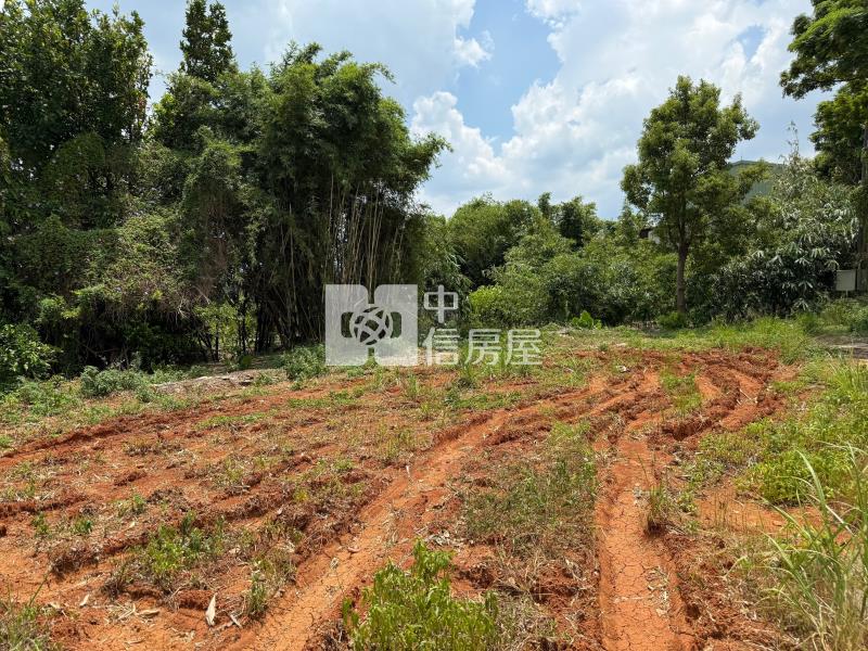 【玖禾】【專】八德廣興路正路邊農地房屋室內格局與周邊環境