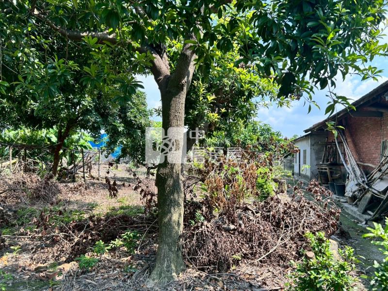 彰化永靖庄內三合院+甲建房屋室內格局與周邊環境
