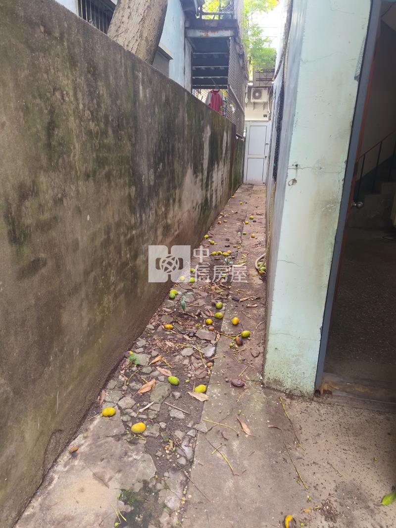 立新國小6米活路透天房屋室內格局與周邊環境