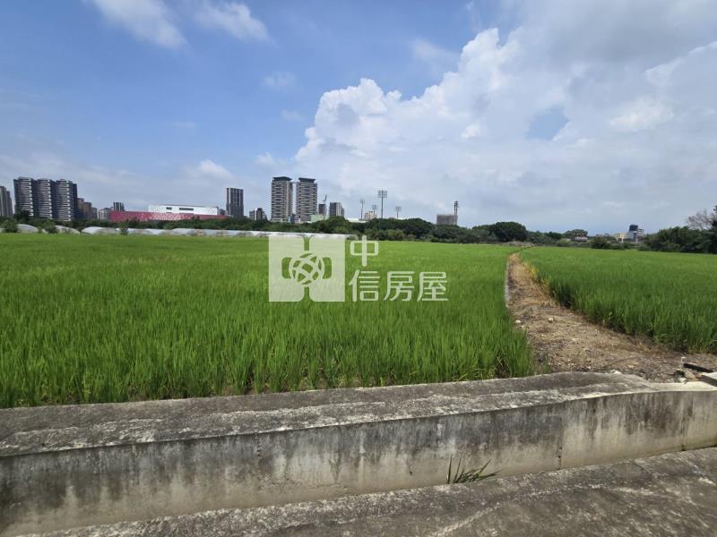 青埔棒球場旁持分農地房屋室內格局與周邊環境