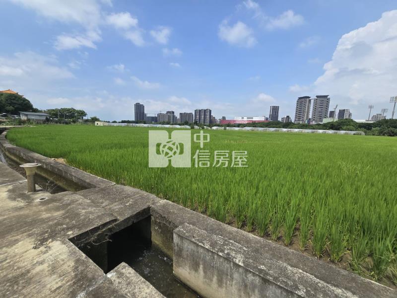 青埔棒球場旁持分農地房屋室內格局與周邊環境