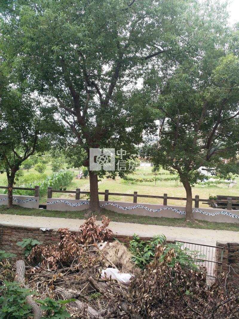 苗栗西湖建地(買地送屋)房屋室內格局與周邊環境