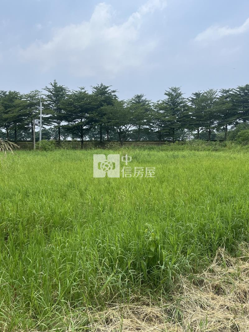新化統一花園方正農地房屋室內格局與周邊環境