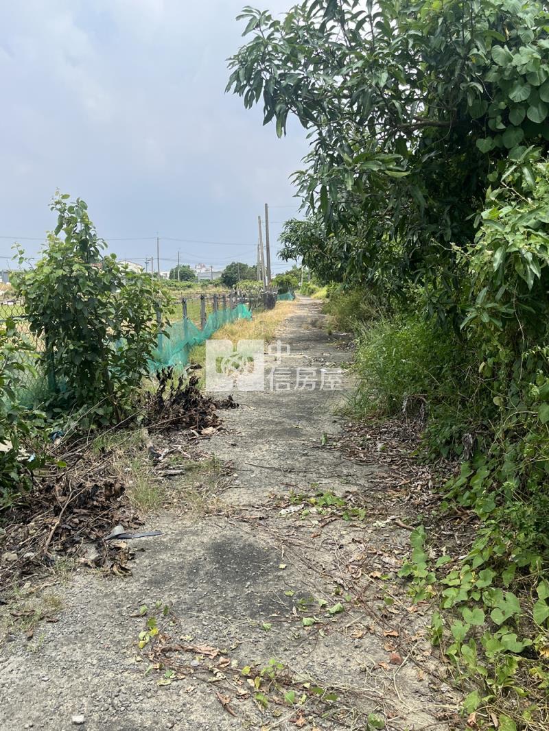 新化統一花園方正農地房屋室內格局與周邊環境