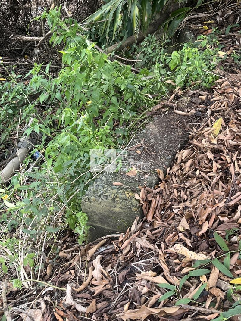 新化統一花園方正農地房屋室內格局與周邊環境