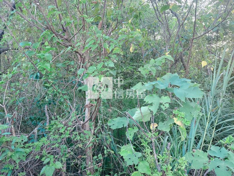 龍潭科學園區擴建計畫聖亭路一般農房屋室內格局與周邊環境