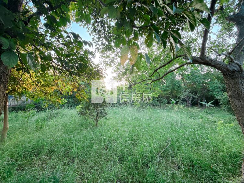 龍潭科學園區擴建計畫聖亭路一般農房屋室內格局與周邊環境