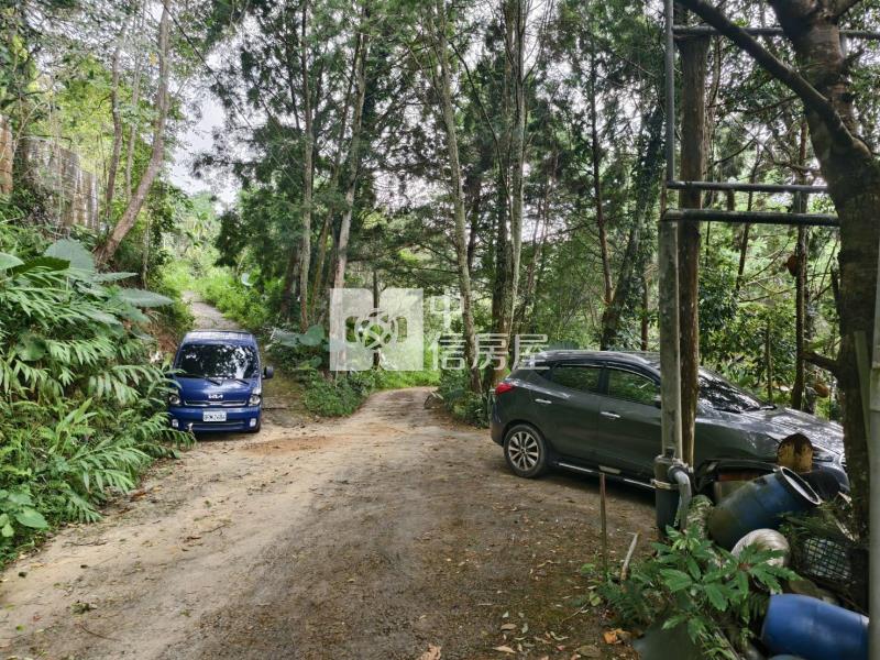 桃米種瓜路林地房屋室內格局與周邊環境