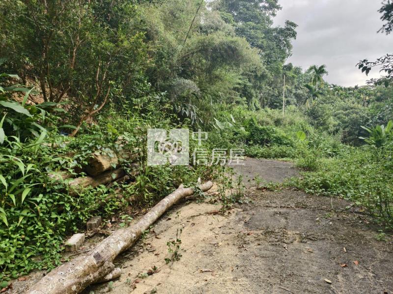 桃米種瓜路林地房屋室內格局與周邊環境