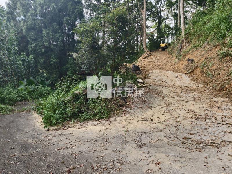 桃米種瓜路林地房屋室內格局與周邊環境