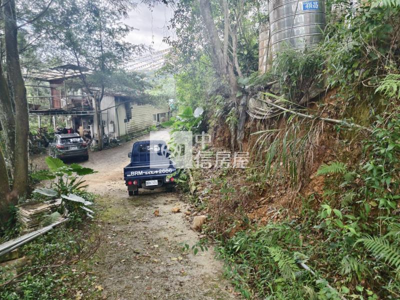 桃米種瓜路林地房屋室內格局與周邊環境