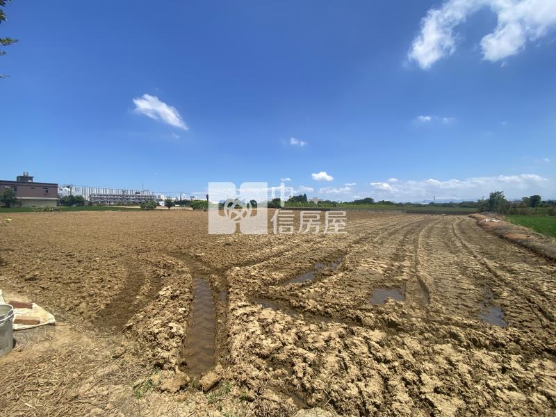 【安家】專任-楊梅富岡方正農地房屋室內格局與周邊環境