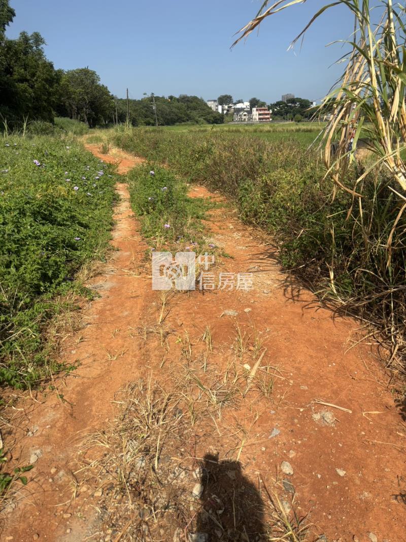 近楊梅火車站都內田房屋室內格局與周邊環境