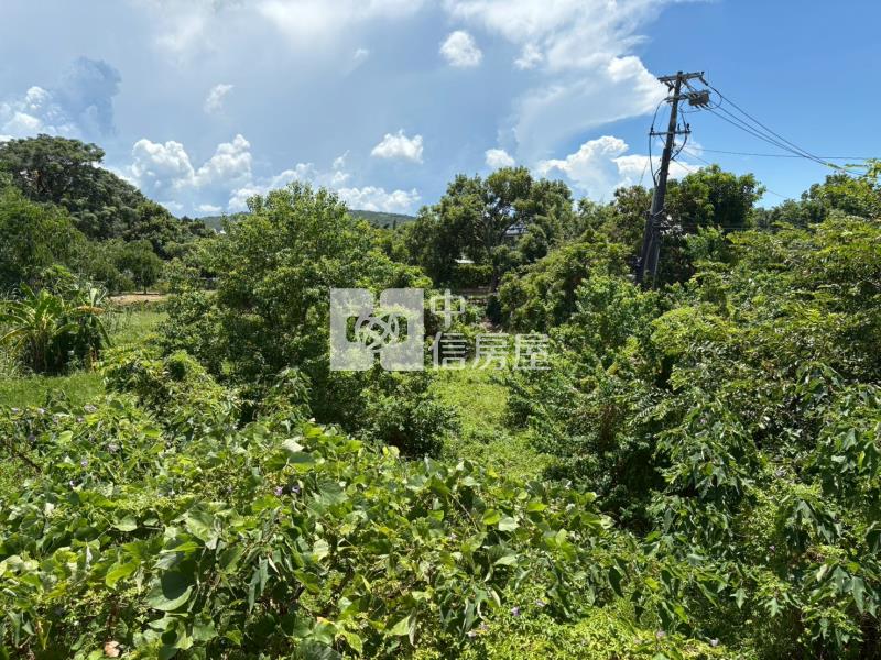 楊梅縱貫路旁都計農地房屋室內格局與周邊環境