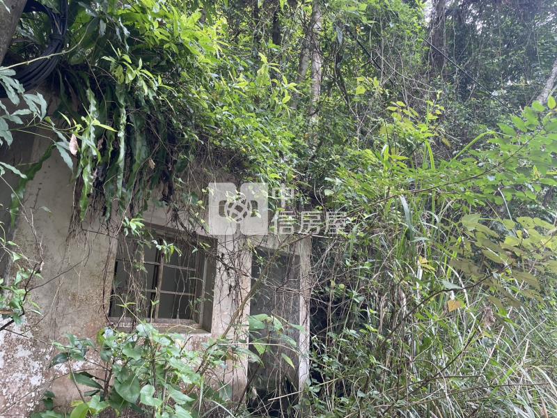 桃米林業用地房屋室內格局與周邊環境