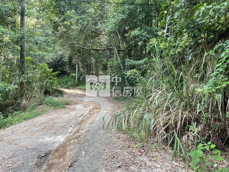桃米林業用地房屋室內格局與周邊環境
