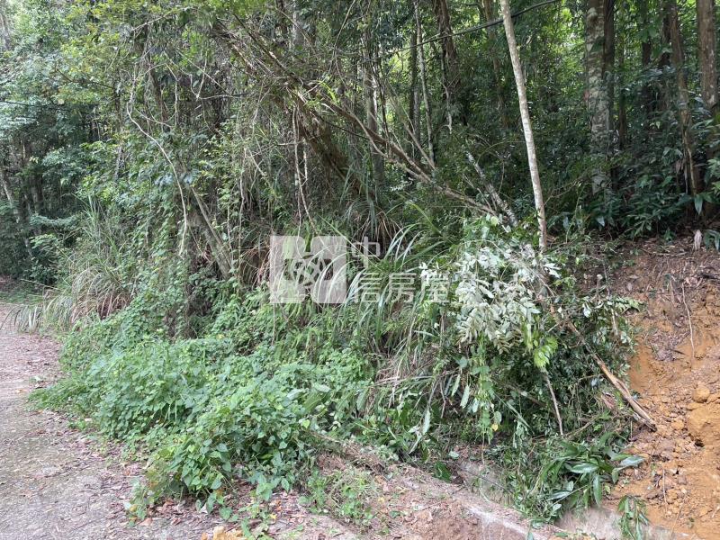 桃米林業用地房屋室內格局與周邊環境