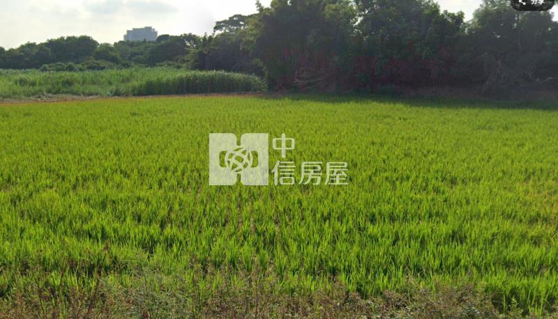 近A20都計內農+建房屋室內格局與周邊環境