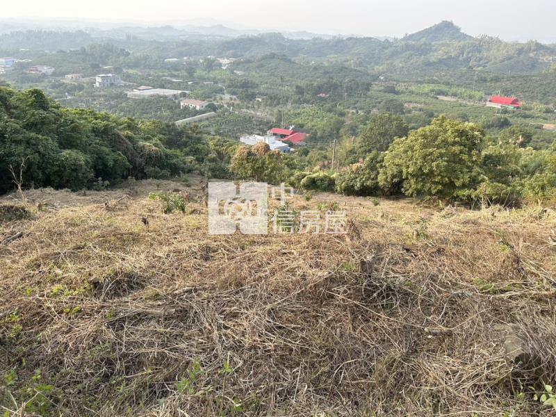 南化低總價農地房屋室內格局與周邊環境