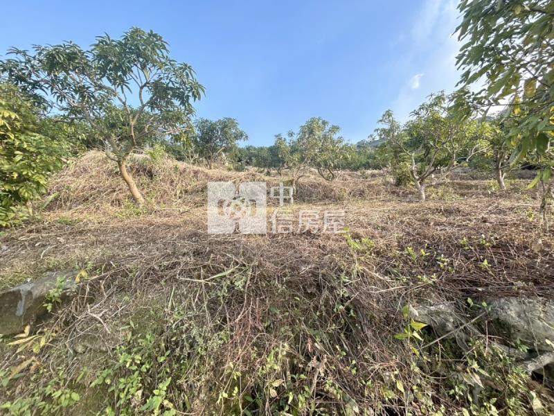 南化低總價農地房屋室內格局與周邊環境