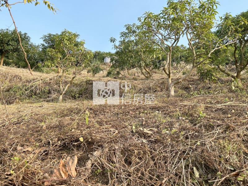 南化低總價農地房屋室內格局與周邊環境
