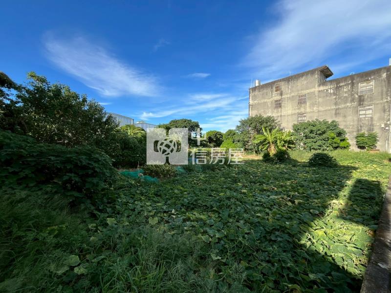 大園⭐正大觀路乙種工業用地⭐雙面臨路⭐9米面寬房屋室內格局與周邊環境