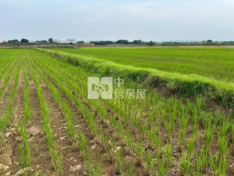 楊梅區高榮段低價農房屋室內格局與周邊環境