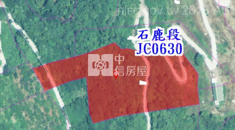 @新竹五峰鄉石鹿林地