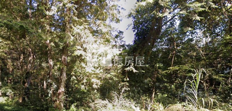 @新竹五峰鄉石鹿林地房屋室內格局與周邊環境