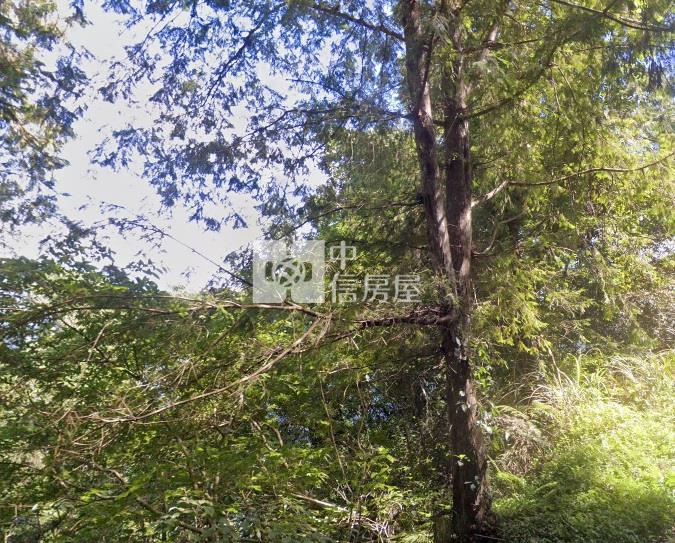 @新竹五峰鄉石鹿林地房屋室內格局與周邊環境