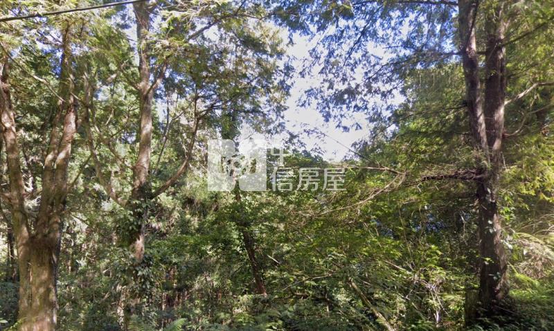 @新竹五峰鄉石鹿林地房屋室內格局與周邊環境