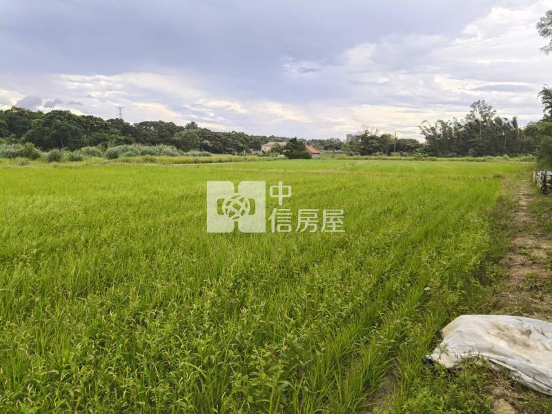 五福街農地房屋室內格局與周邊環境
