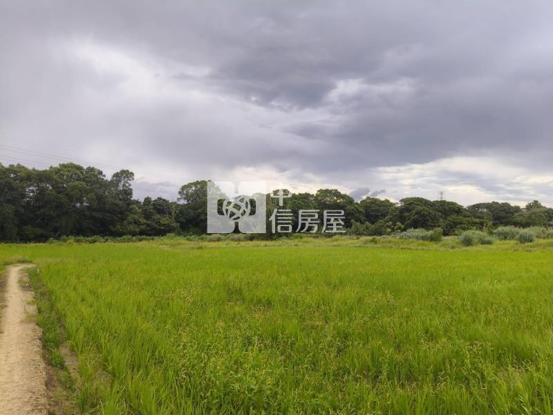五福街農地房屋室內格局與周邊環境