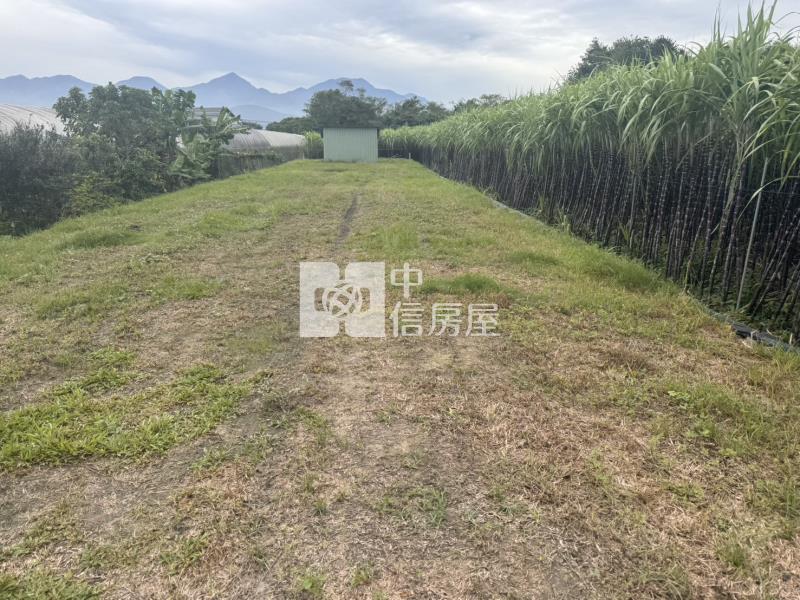 北梅小田房屋室內格局與周邊環境