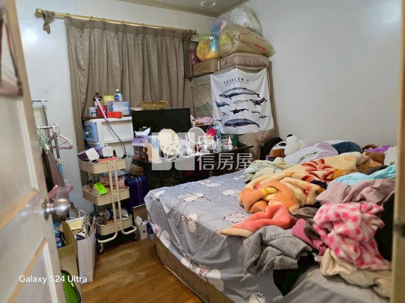 文化國小花園大別墅房屋室內格局與周邊環境