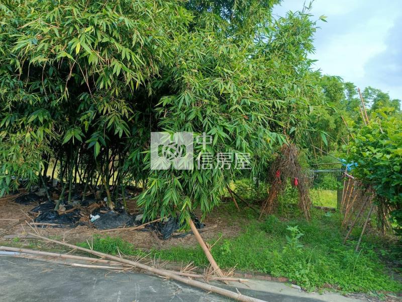 白河崁子頭房屋室內格局與周邊環境