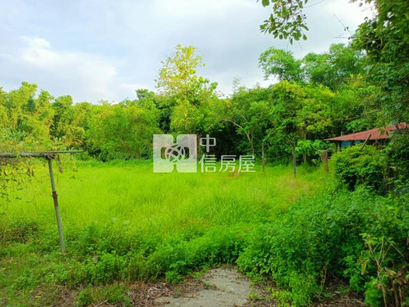 白河崁子頭房屋室內格局與周邊環境