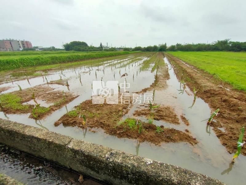 【新世紀】近新屋市區資材室+農地房屋室內格局與周邊環境