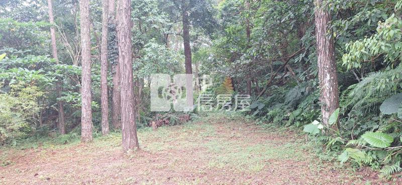 【奔馳】大溪大面積農地房屋室內格局與周邊環境