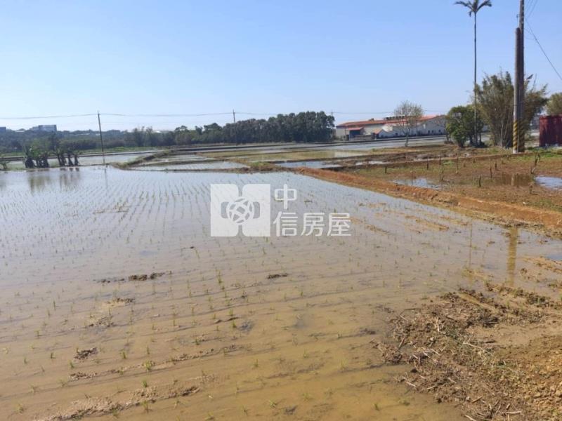 【新世紀】近富岡國中便宜農地房屋室內格局與周邊環境