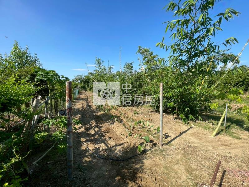 歸仁崙頂段美農地房屋室內格局與周邊環境