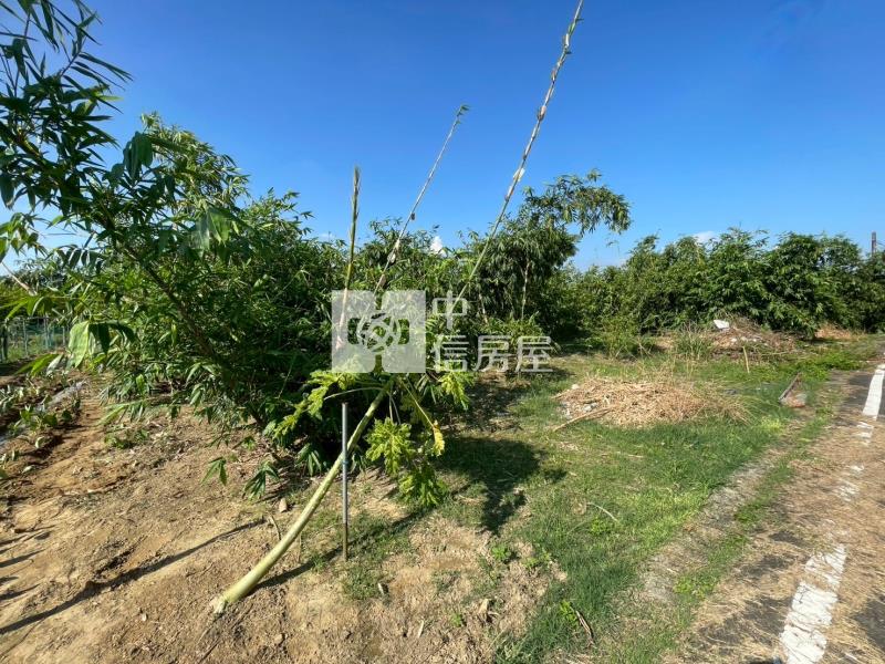 歸仁崙頂段美農地房屋室內格局與周邊環境