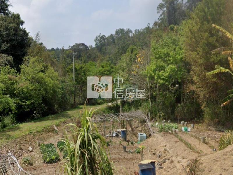 橫山便宜沙坑段農地-D房屋室內格局與周邊環境