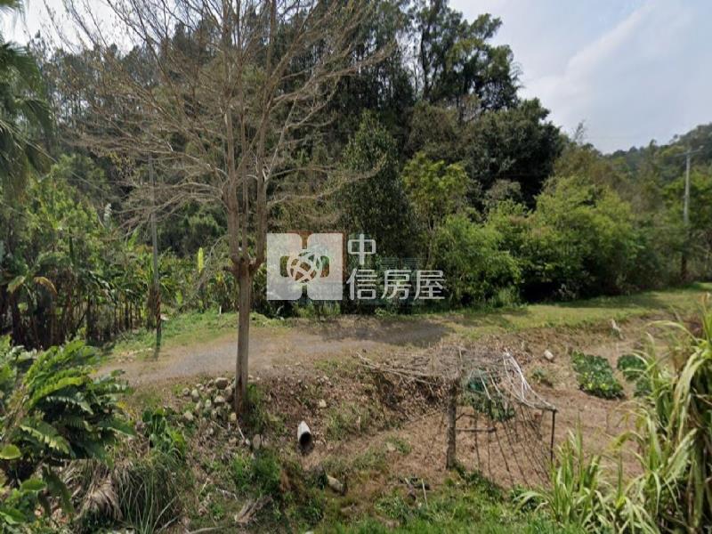 橫山便宜沙坑段農地-K1房屋室內格局與周邊環境
